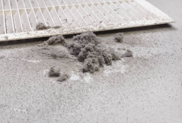 Best Emergency Air Duct Cleaning  in South Valley, NM