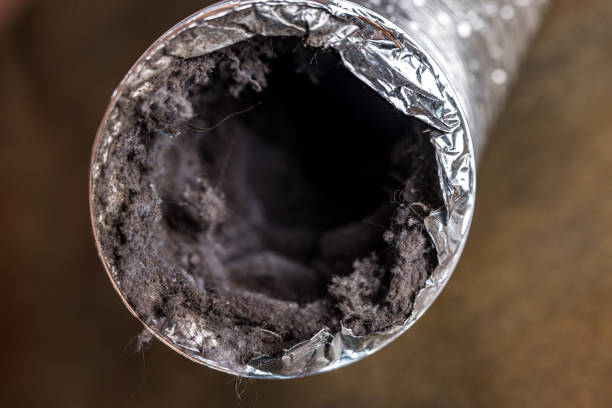 Best Residential Air Duct Cleaning  in South Valley, NM
