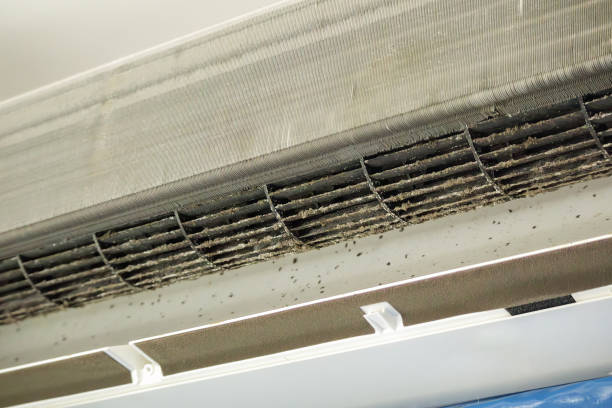 Best Air Duct Cleaning Near Me  in South Valley, NM